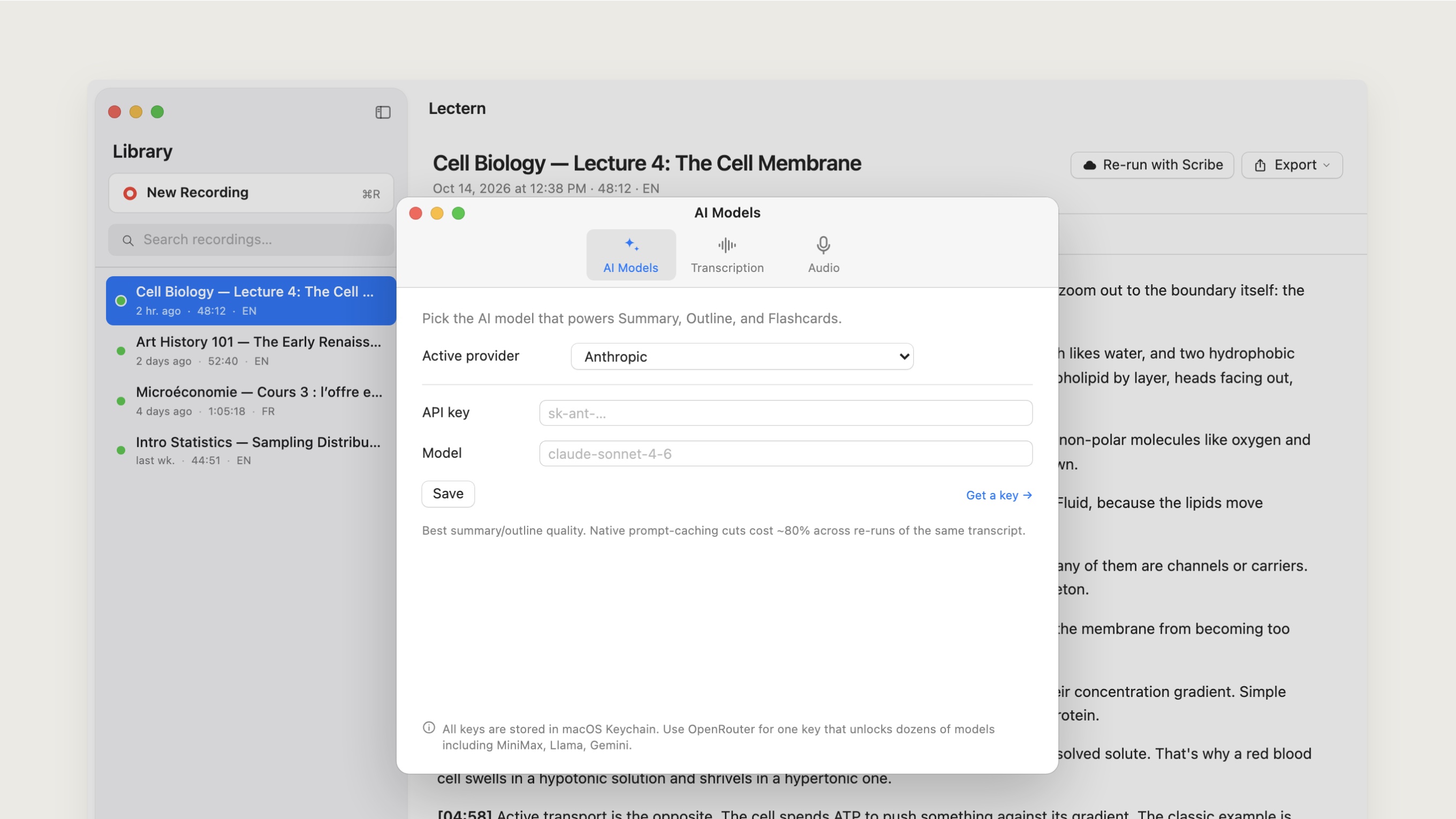 AI Models settings: choose the provider for summaries, outlines and flashcards and paste an API key, which is stored in the macOS Keychain.